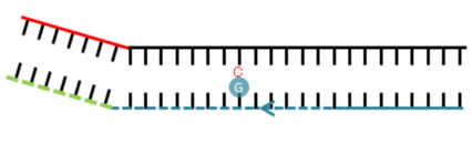 640 (2).png