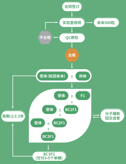 640 (3).png