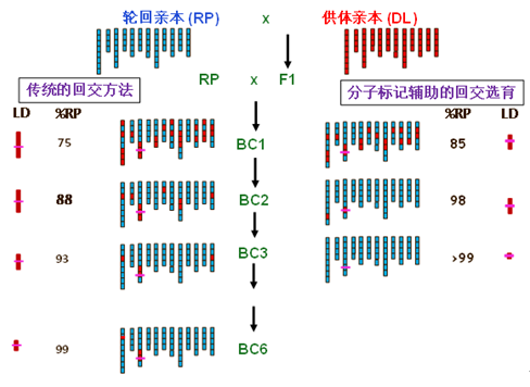 640 (2).png