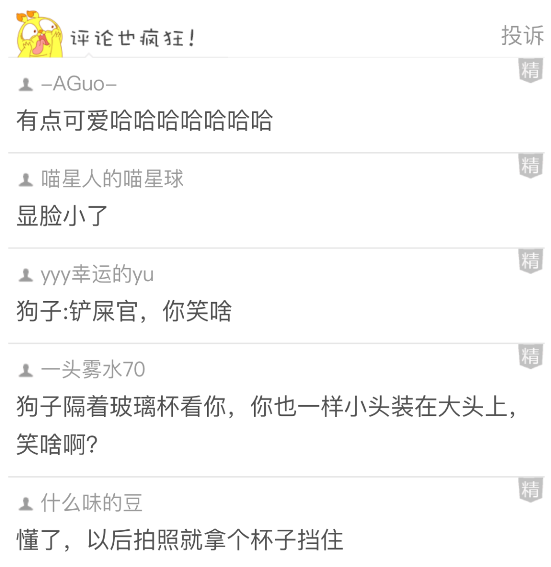 【爆笑】一张图教你怎么拍照超级显脸小，再也不用担心 P 图把脸 P 变形了！（视频/组图） - 2