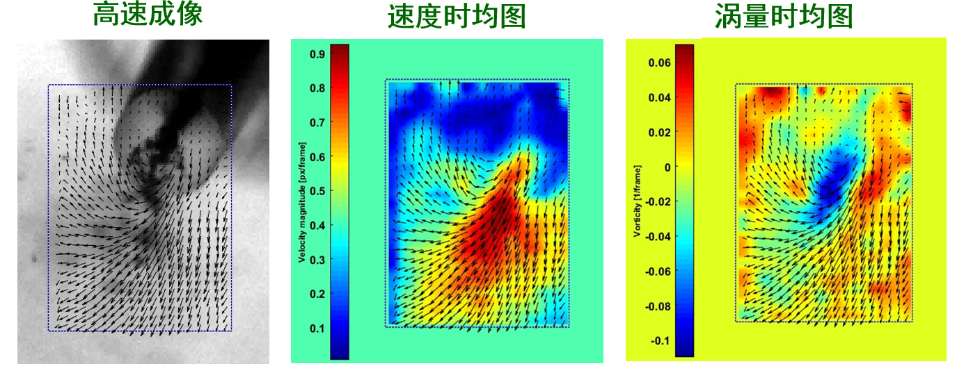 江苏大学何志霞教授团队：高压燃油喷射与喷雾研究的图7