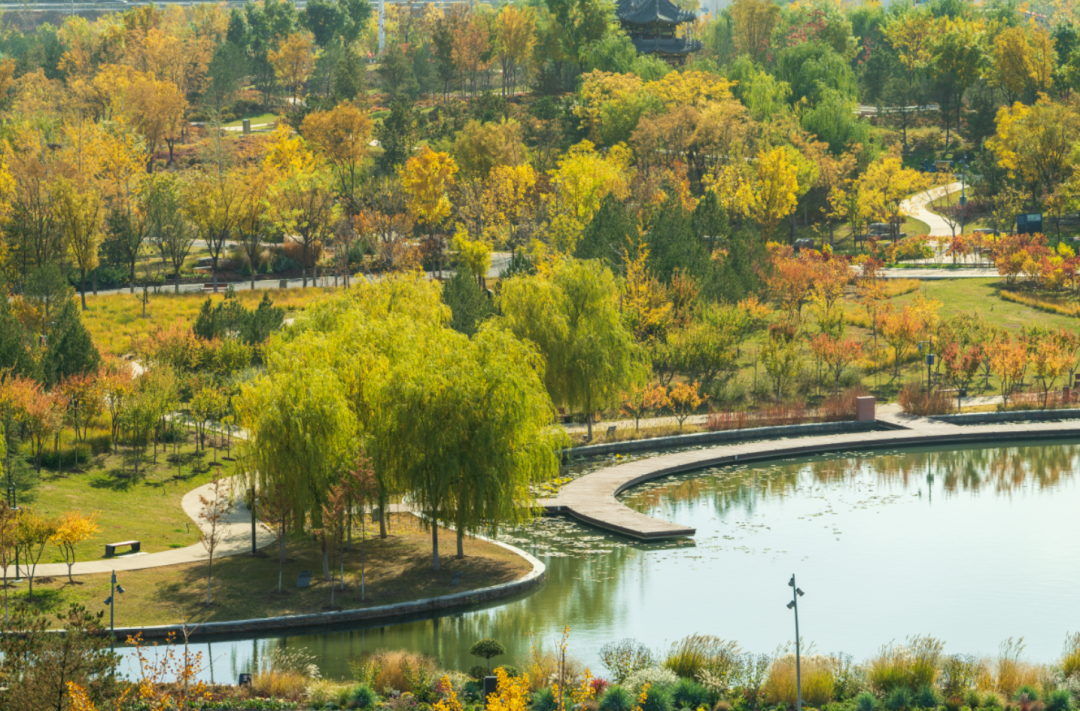 秋日来信大美植物园每一张都是壁纸