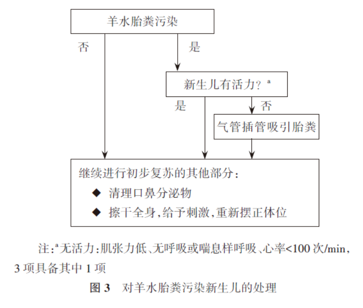 怎么挑选婴儿复苏器新生儿窒息复苏2021指南解读：7大步骤，详细拆解！（附流程图）_https://www.jmylbn.com_新闻资讯_第4张