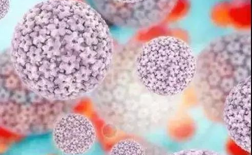 宫颈lct是什么预防宫颈癌，除了HPV疫苗、HPV、LCT筛查，宫颈锥切少不了_https://www.jmylbn.com_新闻资讯_第3张