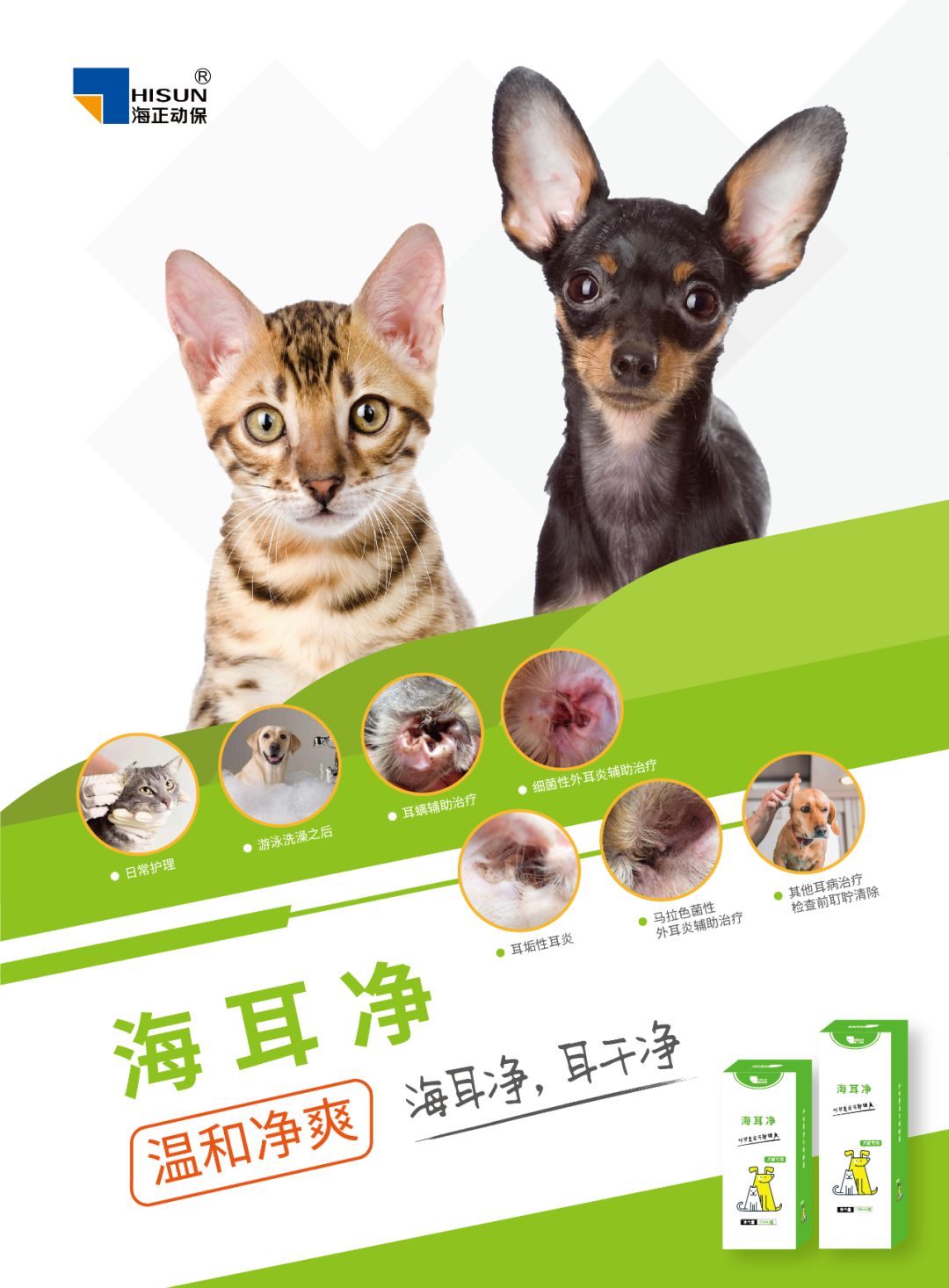 吿別臭臭耳 毛爸毛媽可以這樣做 專業獸醫 楊孝柏 說寵物