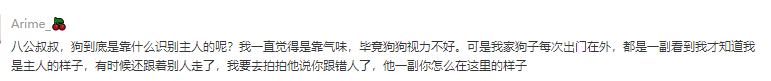 狗狗是怎樣識別主人的？為什麼會出現認錯主人的情況？ 寵物 第2張