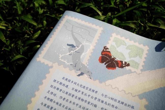 图片