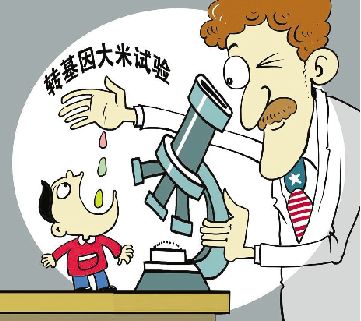 路透社中國農業部準備批准轉基因主糧