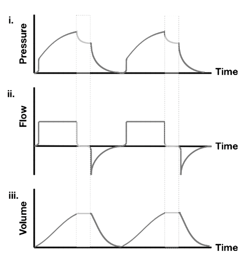 为什么成人呼吸机用容控呼吸机波形（Ventilator Waveforms 译文）_https://www.jmylbn.com_新闻资讯_第4张