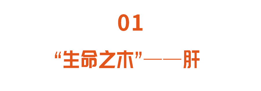 【养生篇】疫情期，春季养肝很重要！