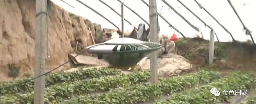 大型石头磨面机_山东大型石磨面粉机_黑龙江石磨面粉机生产厂家