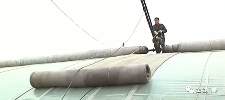 黑龙江石磨面粉机生产厂家_山东大型石磨面粉机_大型石头磨面机