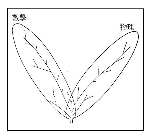 戴森 Weixin 的博客 Csdn博客