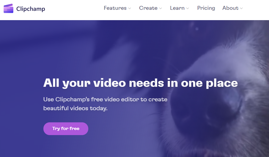 无代码工具+人工智能：19岁少年月入5000美元，八款免费工具助你在线赚钱！