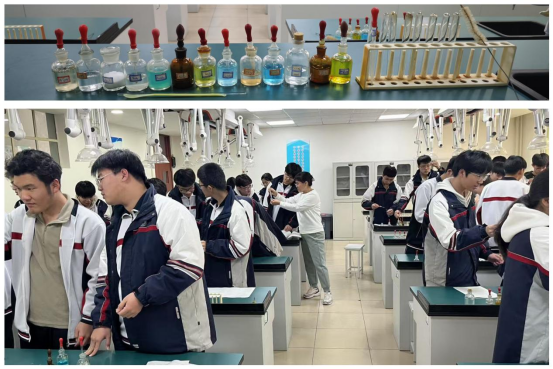 高二化学实验活动314.png