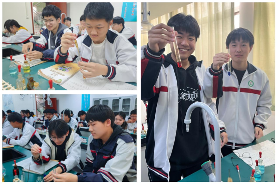 高二化学实验活动555.png
