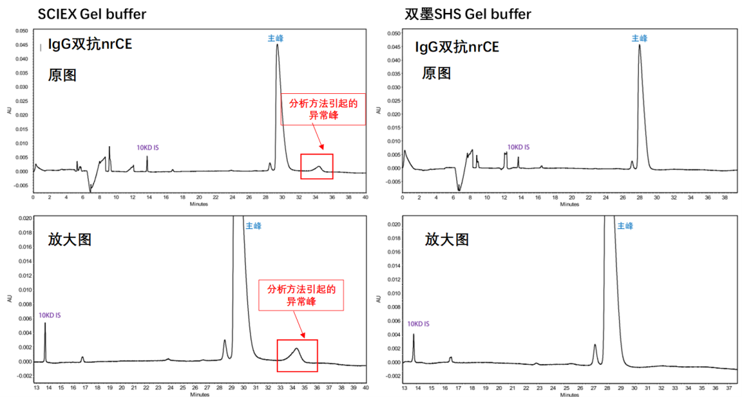 解决复杂生物药CE-SDS与icIEF方法开发难题:双墨生物为您赋能！_上海双墨生物科技有限公司