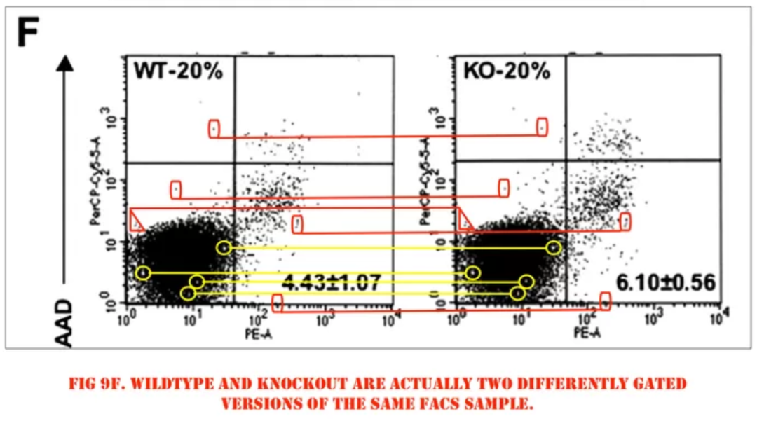 640?wx_fmt=png&wxfrom=5&wx_lazy=1&wx_co=1