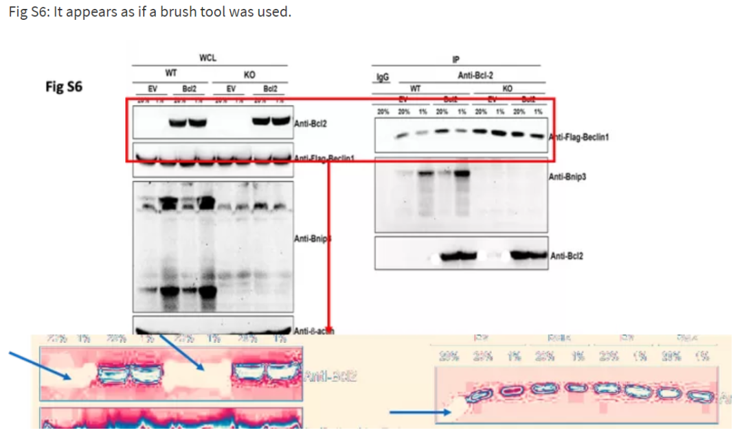 640?wx_fmt=png&wxfrom=5&wx_lazy=1&wx_co=1