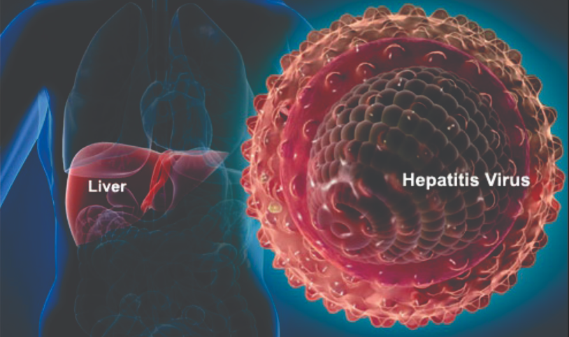 Beam发布首个体内多重碱基编辑治疗乙肝的实验数据，有望功能性治愈乙肝