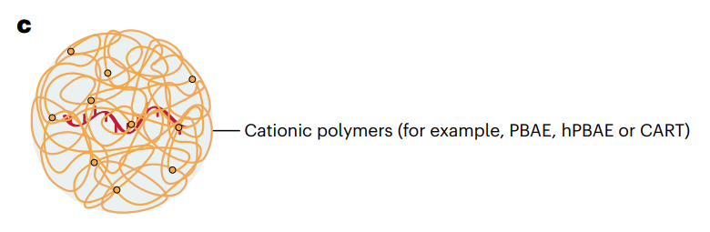 mRNA纳米药物全景解读：最新进展、挑战，临床转化及未来方向的图9