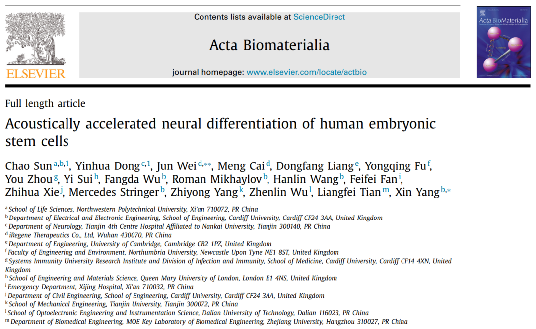act医学是什么仪器ACTBio：华人团队“破解”多能干细胞安全诱导新方法，加速人源胚胎干细胞向神经元分化-上海聚慕医疗器械有限公司