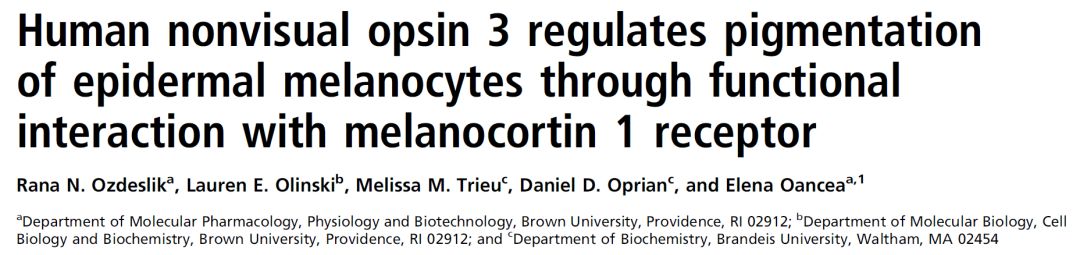 黑色素沉淀 PNAS：最新研究发现调节黑色素产生、决定肤色的基因