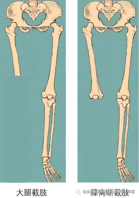 å¾ç