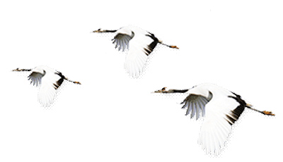 640?wx_fmt=png&tp=webp&wxfrom=5&wx_lazy=1&wx_co=1