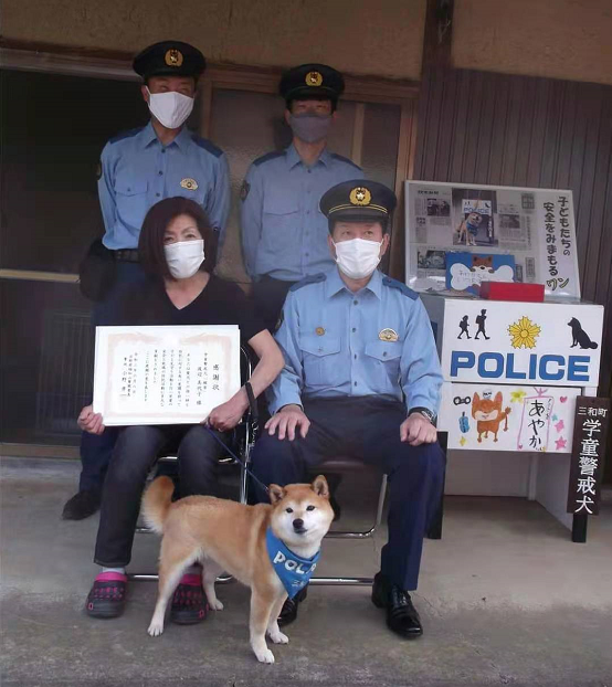 当代 忠犬八公 温暖日本小镇 警察为其发奖状 东方新报 微信公众号文章阅读 Wemp