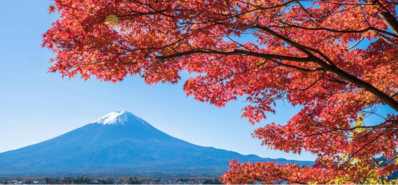 漫山红叶的季节即将来临 日本有哪些欣赏红叶的好去处