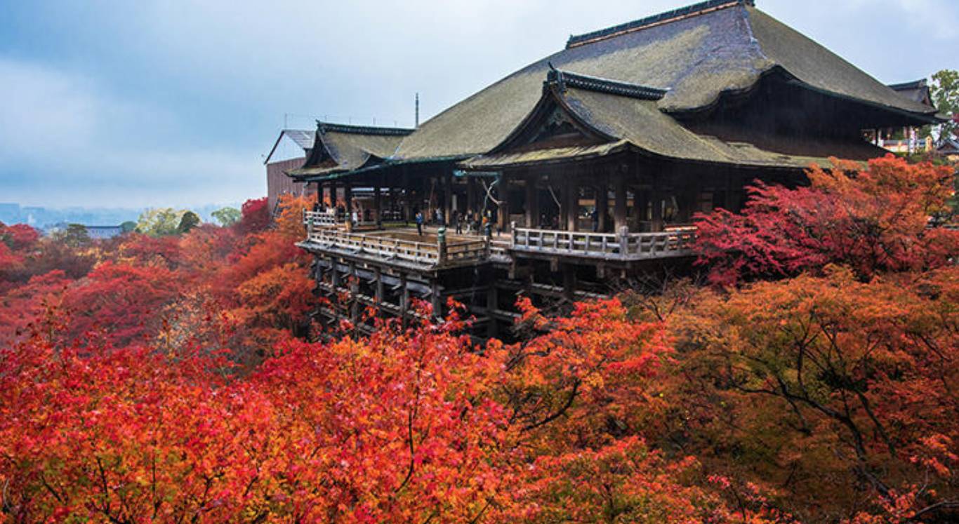 漫山红叶的季节即将来临 日本有哪些欣赏红叶的好去处