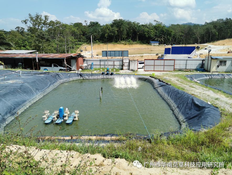 广州城市信息研究院_广州城市信息研究所有限公司_广州城市信息研究所是国企吗