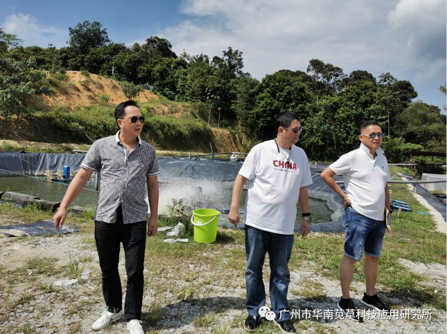 广州城市信息研究院_广州城市信息研究所有限公司_广州城市信息研究所是国企吗