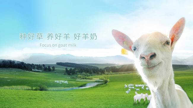 65万奶山羊加持红星美羚再冲羊乳第一股胜算多少
