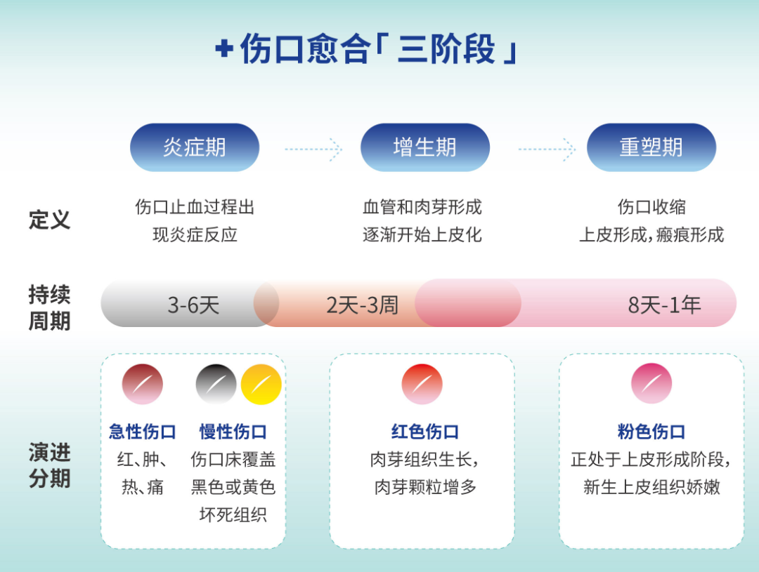 医用伤口护理膜怎么用Zhende爱护 ｜ 不同场景下的伤口该如何护理？一篇教会你！_https://www.jmylbn.com_新闻资讯_第1张