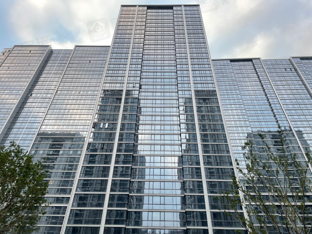 楼王的意思_楼王是什么意思_楼王指的是