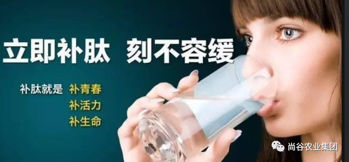 山东尚谷农业集团有限公司