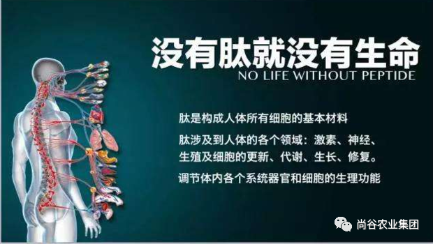 山东尚谷农业集团有限公司
