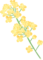 昆明公共文化云