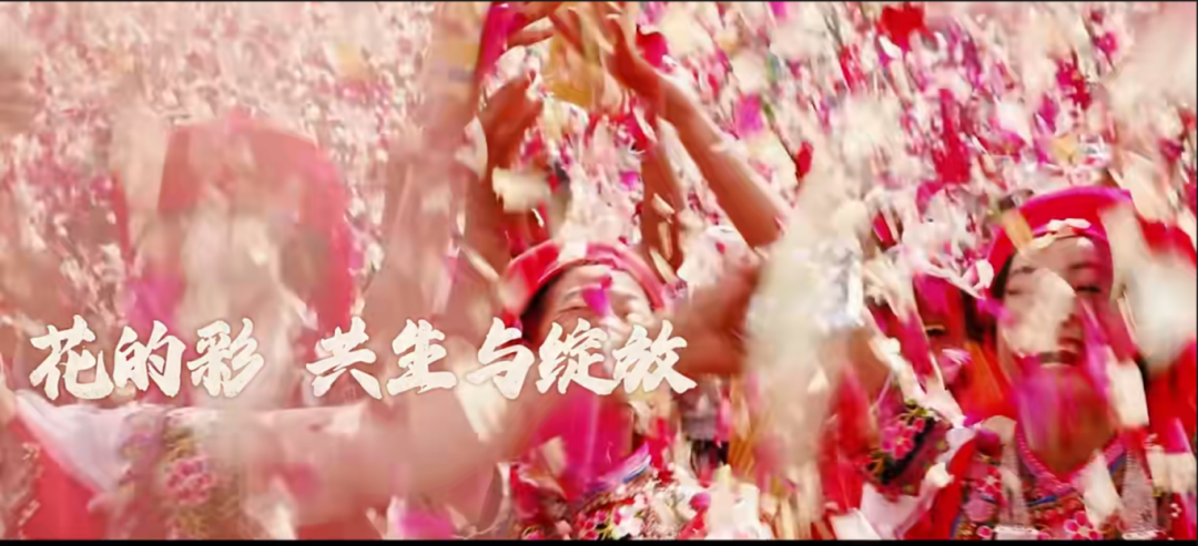 昆明公共文化云