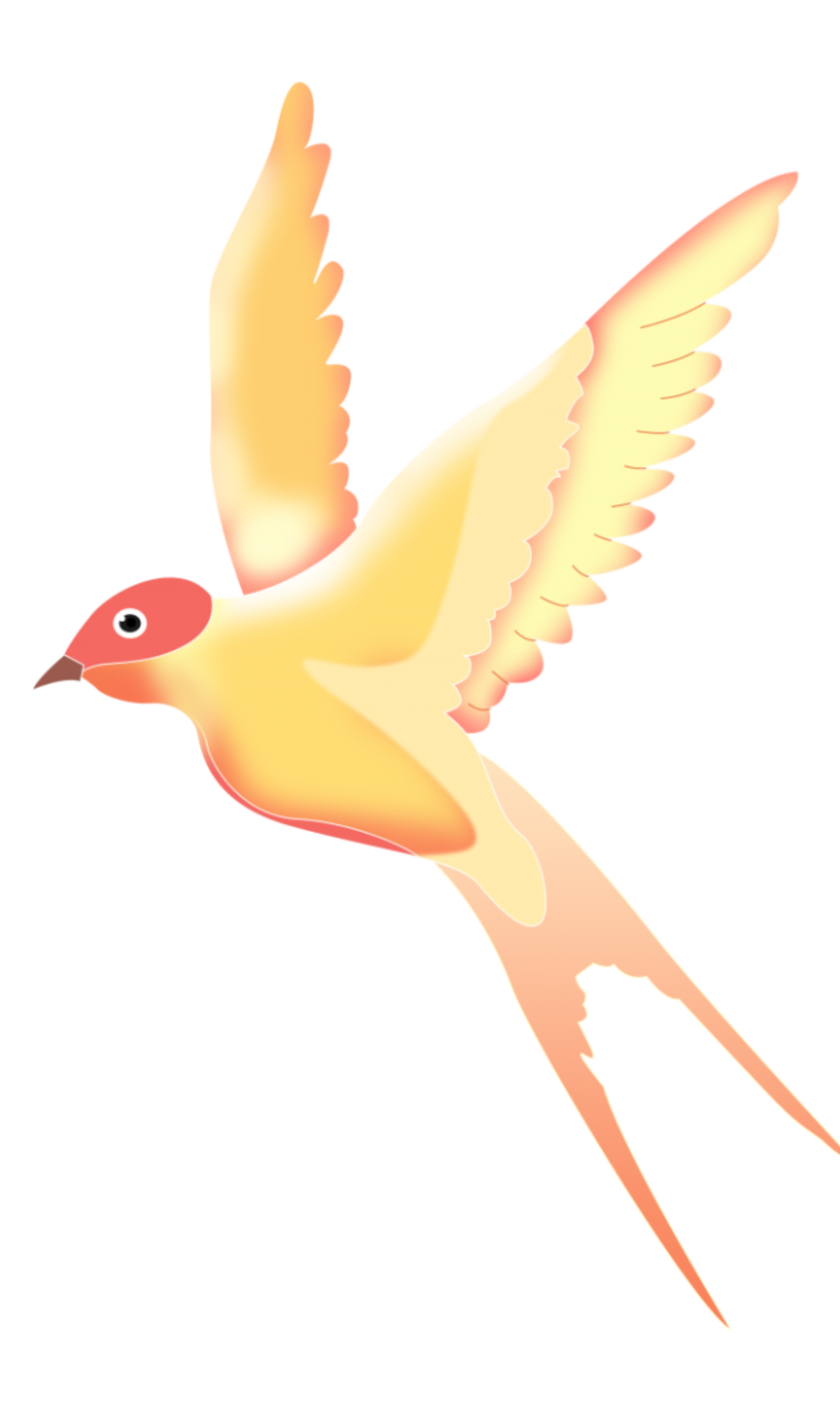 昆明公共文化云