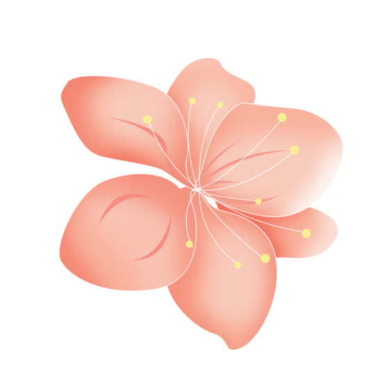 昆明公共文化云