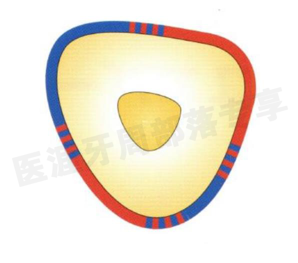 怎么选洁牙器械5个要点带你学习器械洁牙_https://www.jmylbn.com_新闻资讯_第5张