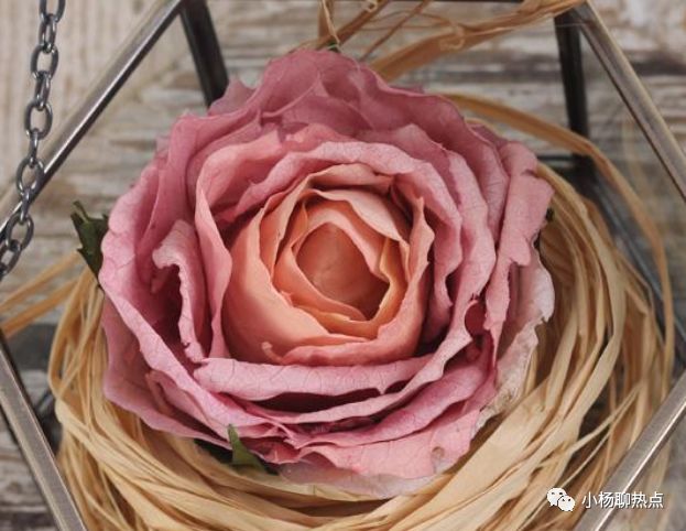心理測試：你最喜歡哪一朵玫瑰幹花？測你愛情最大的隱患是什麼！ 星座 第4張