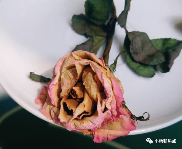 心理測試：你最喜歡哪一朵玫瑰幹花？測你愛情最大的隱患是什麼！ 星座 第3張