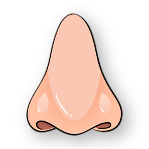 什么是电凝止血鼻子出血不要慌，一招电凝可搞定_https://www.jmylbn.com_新闻资讯_第3张