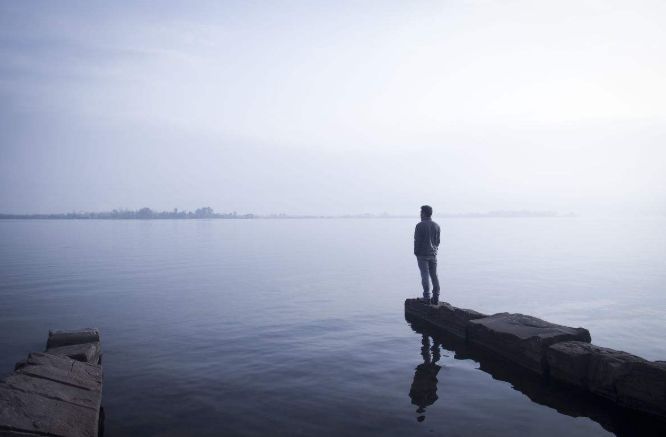 夜听：“羊毛出在狗身上，由猪买单”（精辟）