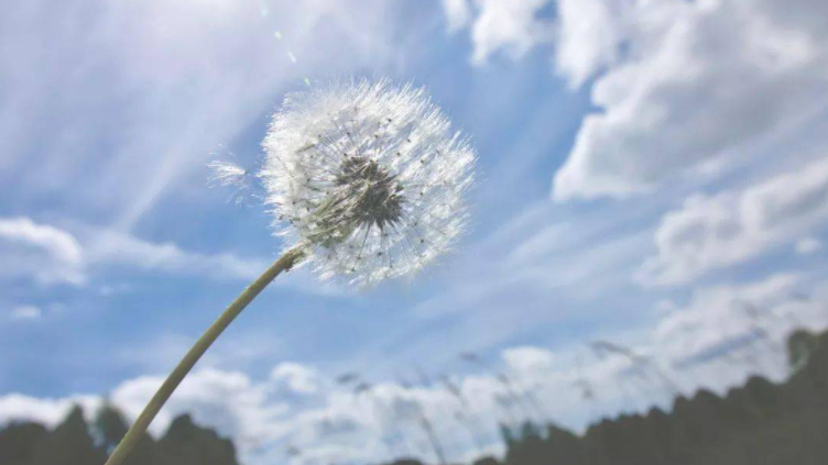 让人心情变好的六件事 - 脉脉