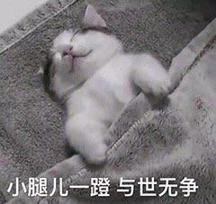 结婚一年就翻车！上芒果台疯狂捞金，真不是合约情侣？（组图） - 9